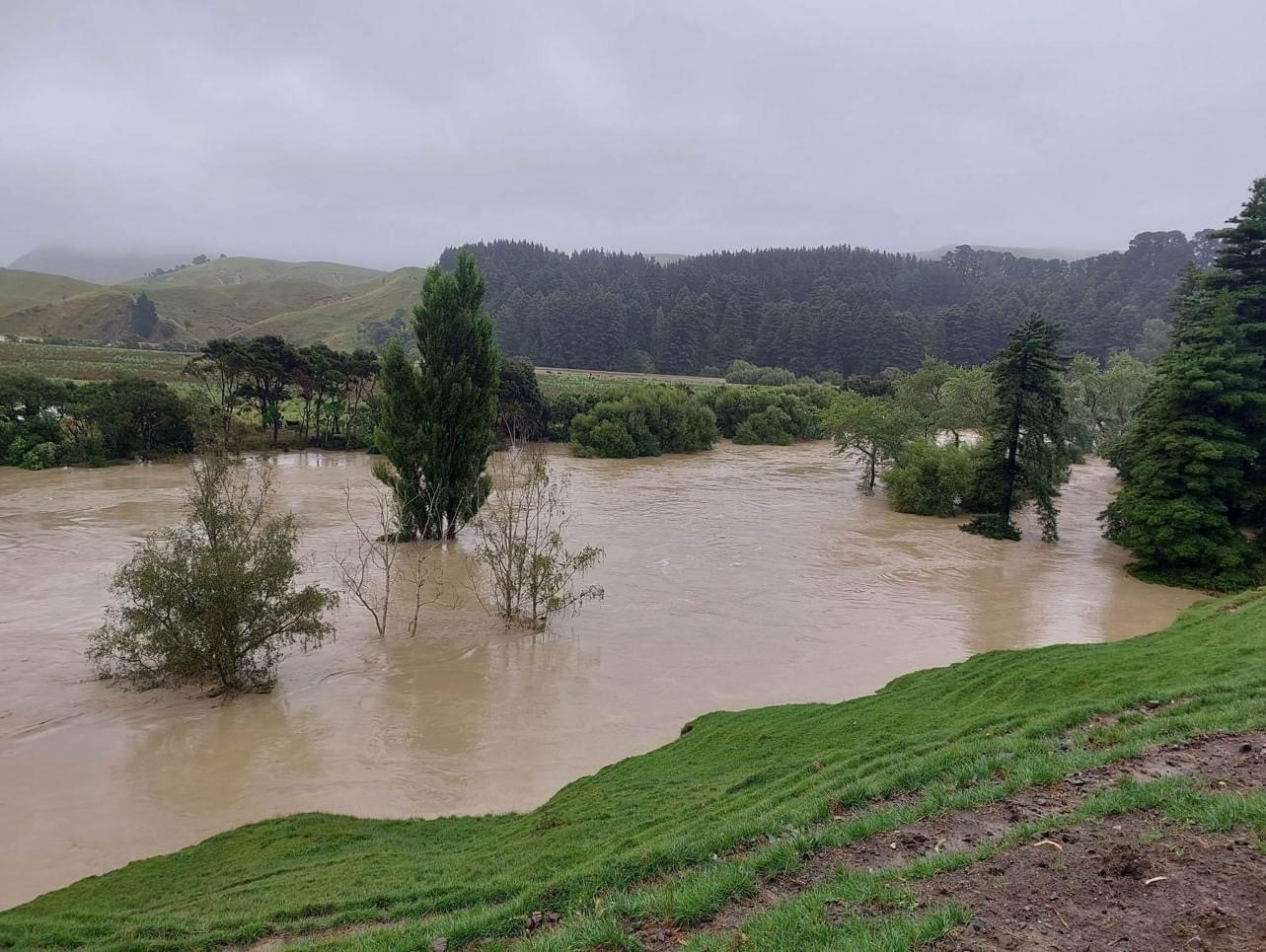 Cyclone Gabrielle Stock Donations